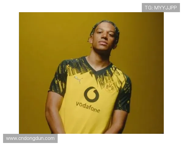 普鲁士多特蒙德辉煌历史与球队精神文化全面探索 普鲁士多特蒙德辉煌历史与球队精神文化全面探索