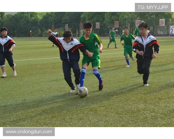 邵阳足球运动员奋勇拼搏成就梦想 打造地方足球新高峰 邵阳足球运动员奋勇拼搏成就梦想 打造地方足球新高峰