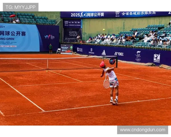 网球五大国际赛事全面解析 揭秘历史背景与赛事特色