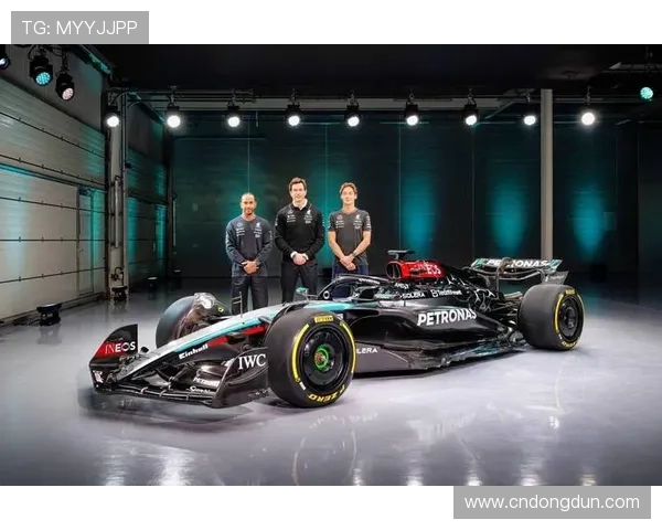 F1赛季激战正酣 各车队展开战略博弈 新星车手表现亮眼