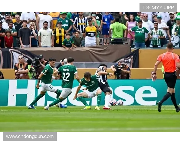 新赛季焦点之战上演世界名将激战网坛掀起全新风暴热潮再受瞩目盛